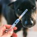 5 Surprising Facts About Animal Bites in Lincoln, NE